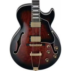 AG95QA DARK BROWN SUNBURST