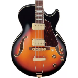 AG75G BROWN SUNBURST