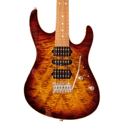 MODERN PLUS - BENGAL BURST