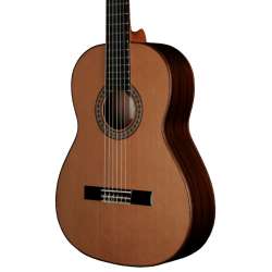 6C-SN / SMALL NECK 48