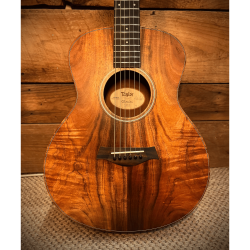 GS MINI-E KOA 2020